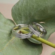 Обручальное кольцо из белого золота 210-000-718
